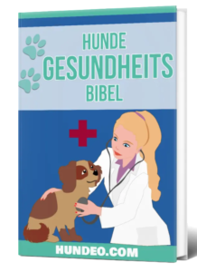 Hunde Gesundheits Bibel